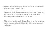 Anticholinesterases pose risks of acute and chronic ...mckim.qsari.org/Presentations/Sept_18_McKim2008_02... · Anticholinesterases pose risks of acute and chronic neurotoxicity The
