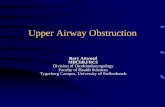 Upper Airway Obstruction - Stellenbosch Universityrespiratory function – i.e. noisy breathing resulting from an upper airway obstruction • Merit investigation in every case Introduction