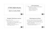 CNS Infections Bacterial meningitis Septic thrombophlebitis Brain … › ... › CookCNSInfectionsPG4.pdf · 2014-05-22 · CNS Infections Ian A. Cook, M.D. CNS Infections •Pyogenic