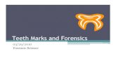 Teeth Marks and Forensics - Wardisianiwardisiani.com › ... › Lecture-Notes › ForensicOdontology.pdf · 2017-12-22 · Forensic Science. Bell-Ringer •Bell-Ringer and Journal