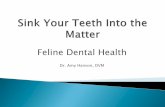 Feline Dental Health - ACFA North Central RegionFeline Dental Health Dr. Amy Hanson, DVM Classification of feline dental issues Causes and risk factors of dental disease Managing dental