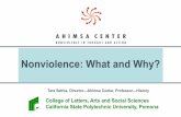 Nonviolence: What and Why?ahimsacenter/files/nonviolence_what...Nonviolence: What and Why--Tara Sethia, 20011 Division vs Unity Nonviolence is rooted in unity, in oneness, in the integrity