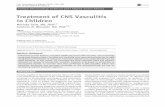Treatment of CNS Vasculitis in Children · Childhood CNS Vasculitis Treatment Twilt and Benseler 367. posterior circulation involvement is atypical, and spinal cord disease has not