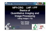 MPI-CBG LMF / IPF Basics of Quantitative Imaging and Image ... · MPI-CBG LMF / IPF Basics of Quantitative Imaging and Image Processing Using ImageJ / Fiji Dan White Nov 2008. Light