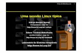 Uma sessão Linux típica - USPlsi.usp.br/~volnys/courses/linux/pdf-col/sessao-col.pdf · Sniff is a C++/C programming environment providing browsing, cross-referencing, design visualization,