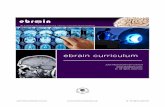 ebrain curriculum draft2 · Core Radiology ... Spinal Vascular Malformations Management of Vein of Galen Malformations Cranial Dural Arteriovenous Fistulae Back to Contents. ... Rheumatoid