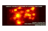 AIRWAY NEURAL CONTROL IN ASTHMA AND COPD · 2019-05-16 · AIRWAY NEURAL CONTROL IN ASTHMA AND COPD Brendan J. Canning, Ph.D. Johns Hopkins Asthma and Allergy Center Bal;more, Maryland