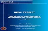 ENERGY EFFICIENCY - unece.org€¦ · a) Energy efficiency in oil pipeline transport, b) Improving energy efficiency in oil exploration and production, c) Improving energy efficiency