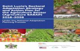 Saint Lucia’s Sectoral Adaptation Strategy and Action Plan ... · Foreword Saint Lucia’s National Adaptation Plan (NAP) has been defined as a ten (10)‐year process (2018‐2028),
