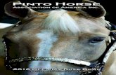 Pinto Horse - Homesteadpthaww.homestead.com/2016_Rulebook_website.pdfthis rule book supersedes all previous rule books pinto horse association of america inc. 7330 nw 23rd street bethany,