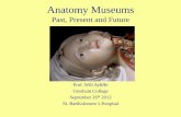 History of Anatomy Museums - Amazon S3 · Anatomy Museums Past, Present and Future Prof. Will Ayliffe Gresham College ... Anatomy and pathology were once in the public domain ...