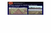 Weed control in field production - Oregon State UniversityWeed prevention • Sanitation – Clean tillage equipment – Control non-crop area weeds – Physical barriers • Cultural