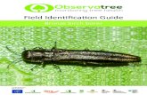 Field Identification Guide - Observatree · 2018-01-23 · 17_0043_One off literature Observatree guide bronze birch borer_wip06 Author: Glenn Brearley Subject: Observatree Field