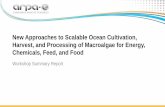 New Approaches to Scalable Ocean Cultivation, Harvest, and ... Workshop... · This report provides summaries of the breakout sessions. There were four breakout sessions, each consisting