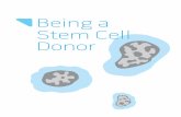 Being a Stem Cell Donor · Your blood stem cells have features most like your brother/sister’s. That is why you are a match. Your stem cells’ fea-tures match that of your brother/sister’s