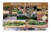 Roots & Shoots - University of Arizona · Roots & Shoots In this edition: Garden spotlight MG Update Diggings in the Garden Magic of Rain Baja Adventure ... Red Mtn. Multi-Generational
