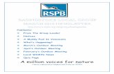 BASINGSTOKE LOCAL GROUP - The RSPB › groups › images › 09072010110501.pdf · The promised Big Garden Birdwatch article this month has been put back for at least a month, this