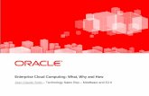 Enterprise Cloud Computing: What, Why and HoEnterprise Cloud Computing: What, Why and How ... Oracle SolarisOperating Systems: Oracle Enterprise LinuxOracle Linux Oracle VM for SPARC