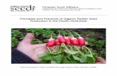 Principles and Practices of Organic Radish Seed Production ...Organic Seed Alliance Supporting the ethical development and stewardship of seed PO Box 772, Port Townsend, WA 98368 Principles