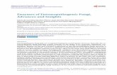 Enzymes of Entomopathogenic Fungi, Advances and Insights · 2014-06-10 · Entomopathogenic fungi develop an appressorium with the purpose of beginning the penetration stage through