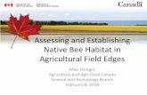 Assessing and Establishing Native Bee Habitat in …...Assessing and Establishing Native Bee Habitat in Agricultural Field Edges Mae Elsinger Agriculture and Agri-Food Canada Science