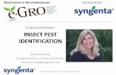 11:30 to 11:55 Eastern INSECT PEST IDENTIFICATION · 2018-08-09 · INSECT PEST IDENTIFICATION Nancy Rechcigl Syngenta Flowers, Home and Garden nancy.rechcigl@syngenta.com Sponsored