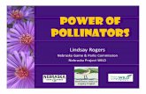 Power of Pollinators - Nebraska Game and Parks …outdoornebraska.gov/.../2015/12/Power-of-Pollinators.pdf“Pollination is one of the most important mechanisms in the maintenance