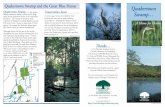 Quakertown Swamp and the Great Blue Heron Quakertown · 2019-09-24 · Quakertown Swamp and the Great Blue Heron Quakertown Swamp… is the largest inland wetland in Bucks County
