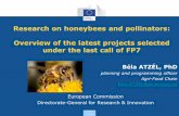 Research on honeybees and pollinators: Overview of the ... · Research & Innovation Inventory of projects • STEP – Status and Trends of European Pollinators (2010-2015) • AMIGA