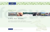 LIFE for birds - 25 years from the Birds Directive: the ...ec.europa.eu/.../lifepublications/lifefocus/documents/birds_en.pdf · LIFE Focus / LIFE for Birds. 25 years of the Birds