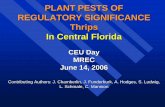 PLANT PESTS OF REGULATORY SIGNIFICANCE Thrips In Central ... · Chilli Thrips – Cross Commodity Task Force ... Slight Leaf Curl on Hot Peppers (Capsicum chinense var West Indies