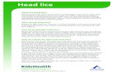 What are head lice? Who can get head lice? How do people ... wet... · Wet combing with conditioner and a fine tooth nit comb (without using chemicals) is an effective way to find