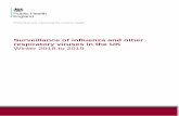 Surveillance of influenza and other respiratory viruses in ... · Surveillance of influenza and other respiratory viruses in the UK: Winter 2018 to 2019 4 Executive summary In the