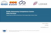 Radio Astronomy Competence Centre Data Services€¦ · EOSC-hub receives funding from the European Union’s Horizon 2020 research and innovation programme under grant agreement