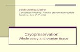 Whole ovary and ovarian tissue cryopreservation...Large strips (8-10x5x1mm) or small cubes (2x2x1mm): Both effective. ... ovarian cortical tissue . Ideal donor and recipient vessels