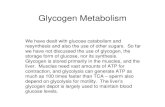 Glycogen Metabolism - University of Texas at Austinkitto.cm.utexas.edu/courses/ch395g/fall2009/secure/...Glycogen Metabolism We have dealt with glucose catabolism and resynthesis and