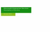 Microsoft Enterprise Services Enterprise service delivery team Enterprise Strategy service modules Up