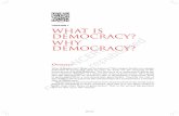 CHAPTER 1 What is Democracy? Why Democracy? Social...tion? The other day you quoted Abraham Lincoln to us: “Democracy is government of the people, by the people and for the people”.