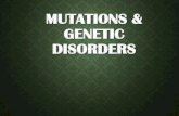 Mutations & Genetic Disorders - Ms. Bustos › ... › 4 › 120409855 › mutationsgenetic… · MUTATIONS & GENETIC DISORDERS. MUTATIONS Mutation: •Any mistake or change in the