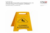 Level 2 Awards/Certificate/Diploma in Cleaning Principles ... · Level 2 Awards/Certificate/Diploma in Cleaning Principles (7695) 17 Principles of dealing with routine and non-routine