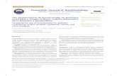 Colombian Journal of Anesthesiology...de acuerdo con la calidad de los estudios mediante la evaluación de riesgo de sesgo bajo y alto, se encontró efecto protector solo en los estudios