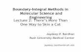 Boundary-Integral Methods in Molecular Science and ... · Boundary-Integral Methods in Molecular Science and Engineering ... Sometimes PDEs can be advantageously reframed as integral