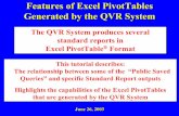 Features of Excel PivotTables Generated by the …...2003/06/26  · Features of Excel PivotTables Generated by the QVR System The QVR System produces several standard reports in Excel