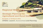 Global Strategy to Improve Agricultural and Rural Statistics · Use participatory process with sub-sector committees involving users, producers, resource providers Ensure consistency