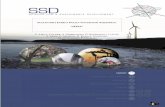 SUSTAINABLE ENERGY POLICY INTEGRATED A€¦ · Project SD/EN/07 - Sustainable energy policy integrated assessment - “SEPIA” SSD-Science for a Sustainable Development – ENERGY