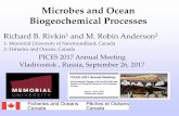 Microbes and Ocean Biogeochemical Processes€¦ · nutrients on plankton and ecosystem dynamics and ocean biogeochemical processes is essentially unknown. Two general views of microplankton