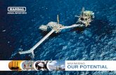 our potential - Handal Energyhandalenergy.com/handal/wp-content/uploads/2018/11/... · Dato’ Mohsin is the Director of Handal Offshore services sdn Bhd, Handal Engineering sdn Bhd,