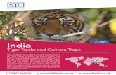 12 Days India - STC Expeditions Jeep Safari at Bandhavgarh National Park is a delight for adventure