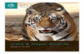 India & Nepal Wildlife - Wildlife safari and adventure tours · After breakfast, travel past rich farmland and colorful villages to Kanha National Park. This 366-square-mile preserve
