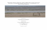 Western Snowy Plovers and California Least Terns on Rancho … › ... › 2013_RGDP_final_WSP_Breeding_Season_R… · Rancho Guadalupe Dunes Preserve, Guadalupe CA 2013 Final Report